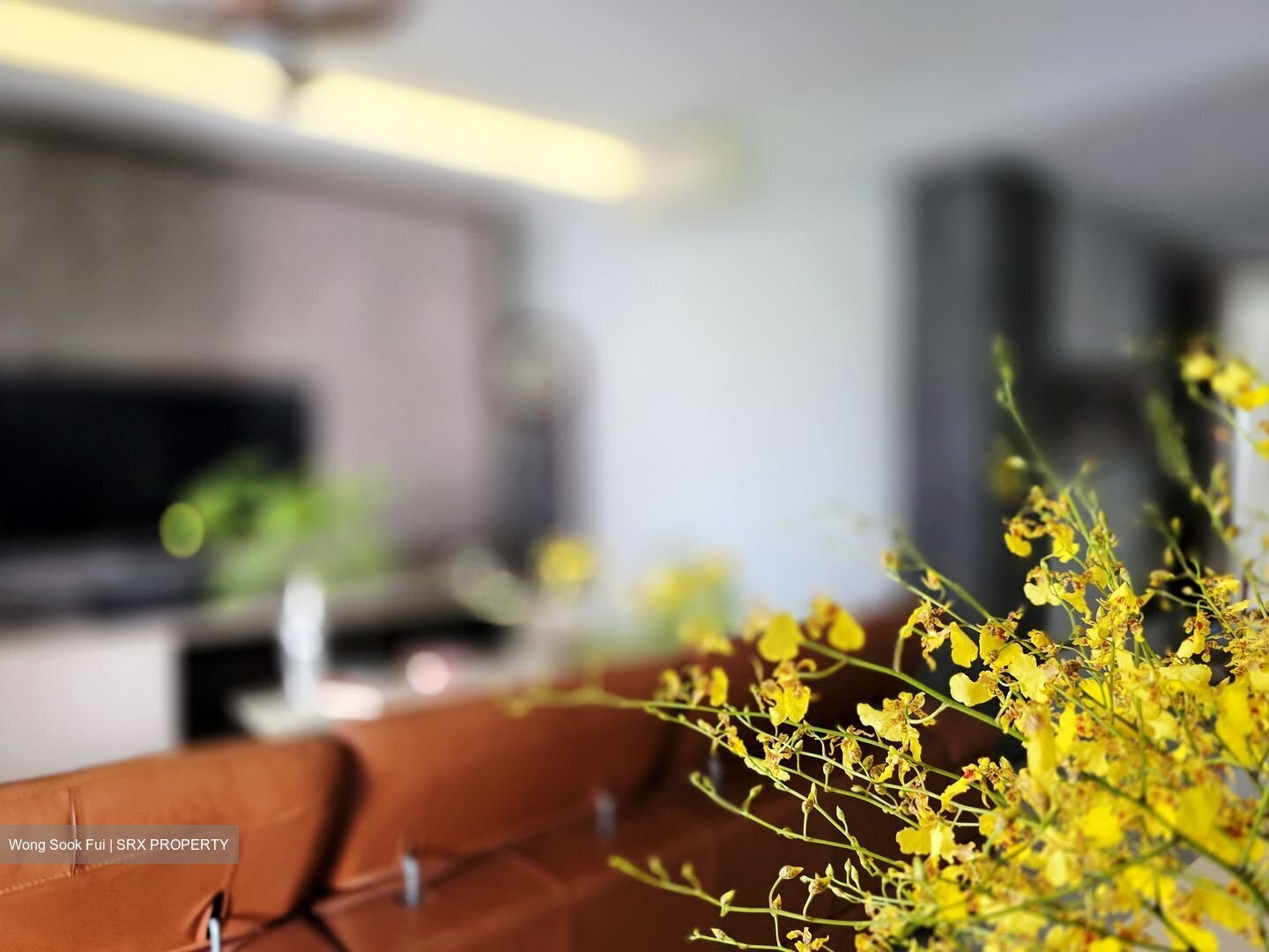 Parc Centros (D19), Condominium #499274911